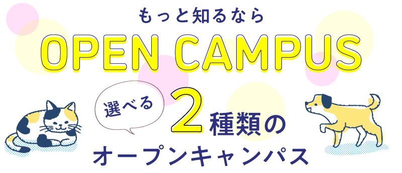 選べる2種類のオープンキャンパス
