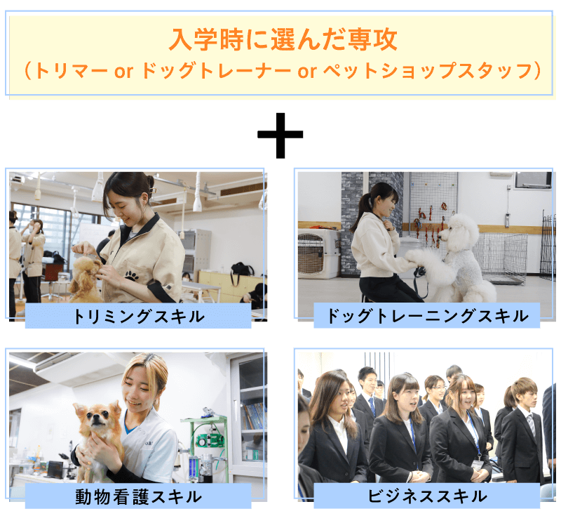 マルチカリキュラムで幅広い知識を身につけられる！