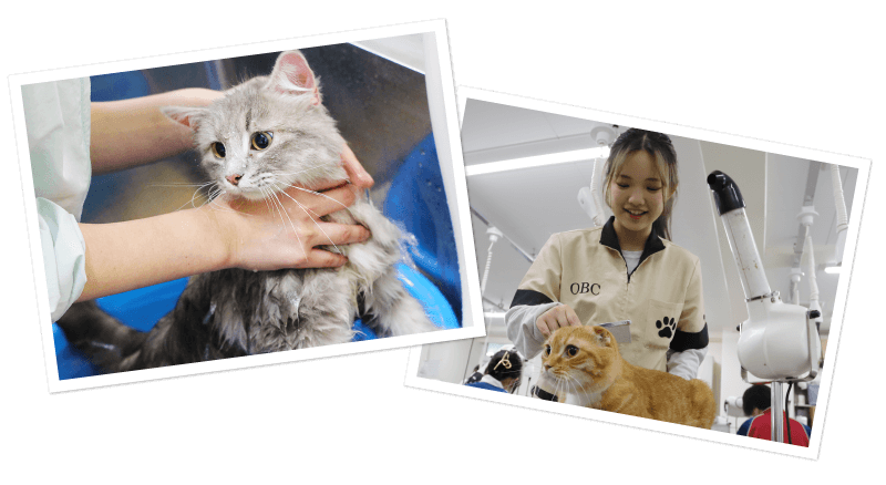 ワンちゃんだけでなく猫ちゃんの知識も学べる