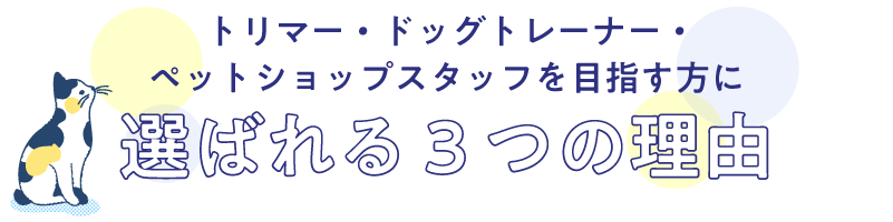 選ばれている理由