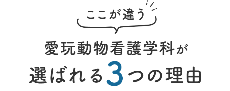 ここが違う 愛玩動物看護学科が選ばれる3つの理由