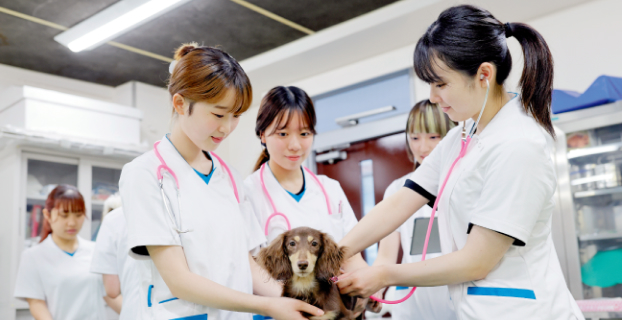 動物に寄り添う看護師のイメージ