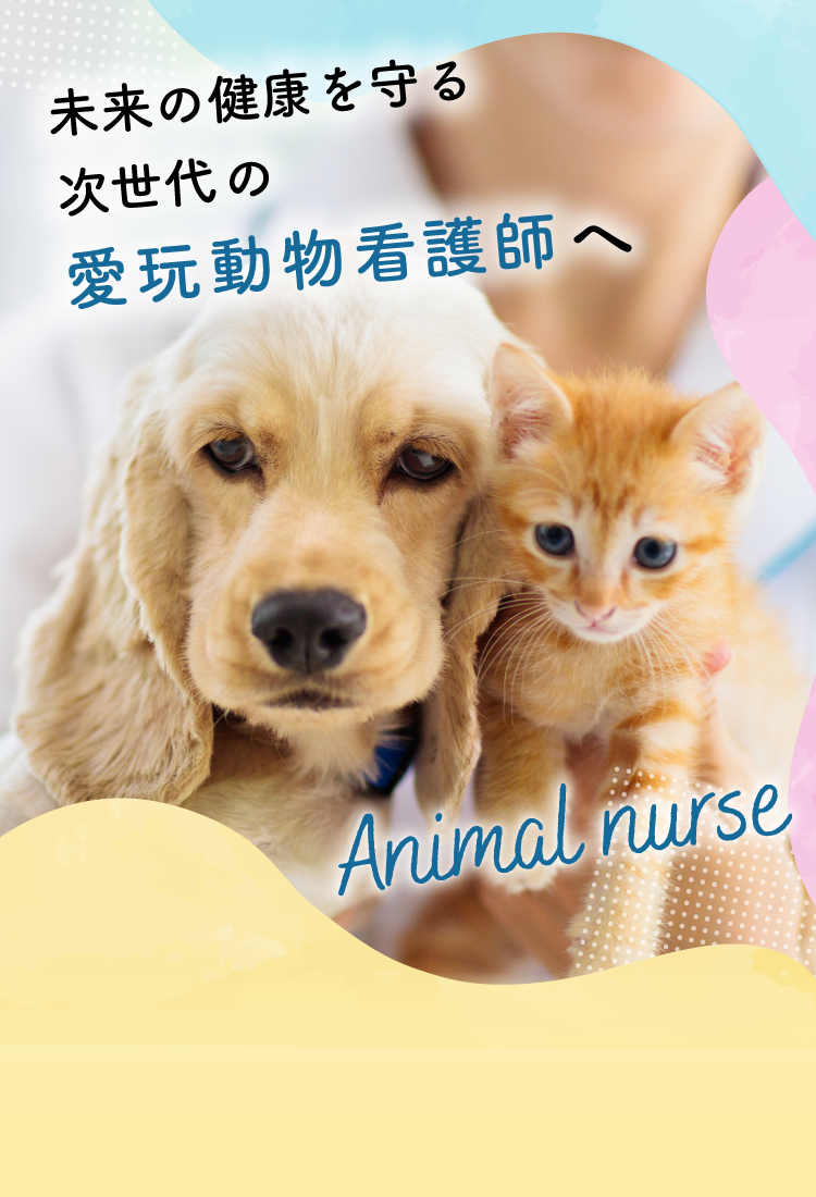未来の健康を守る 次世代の愛玩動物看護師へ