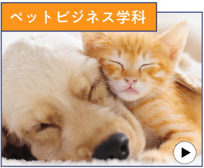 ペットビジネス学科