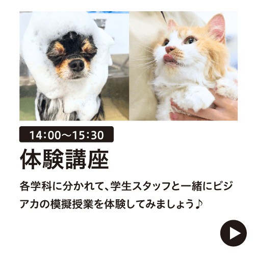 体験講座