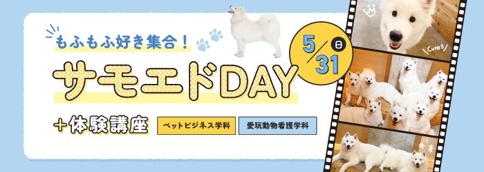 サモエドDAY