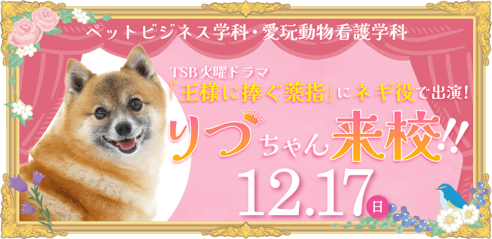 『王様に捧ぐ薬指』に「ネギ」役で出演の「りつ」ちゃんが来校