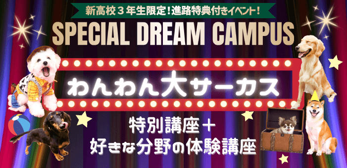 スペシャルドリームキャンパス