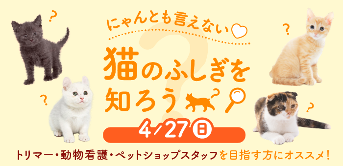 にゃんとも言えない・・・♡猫のふしぎを知ろう！
