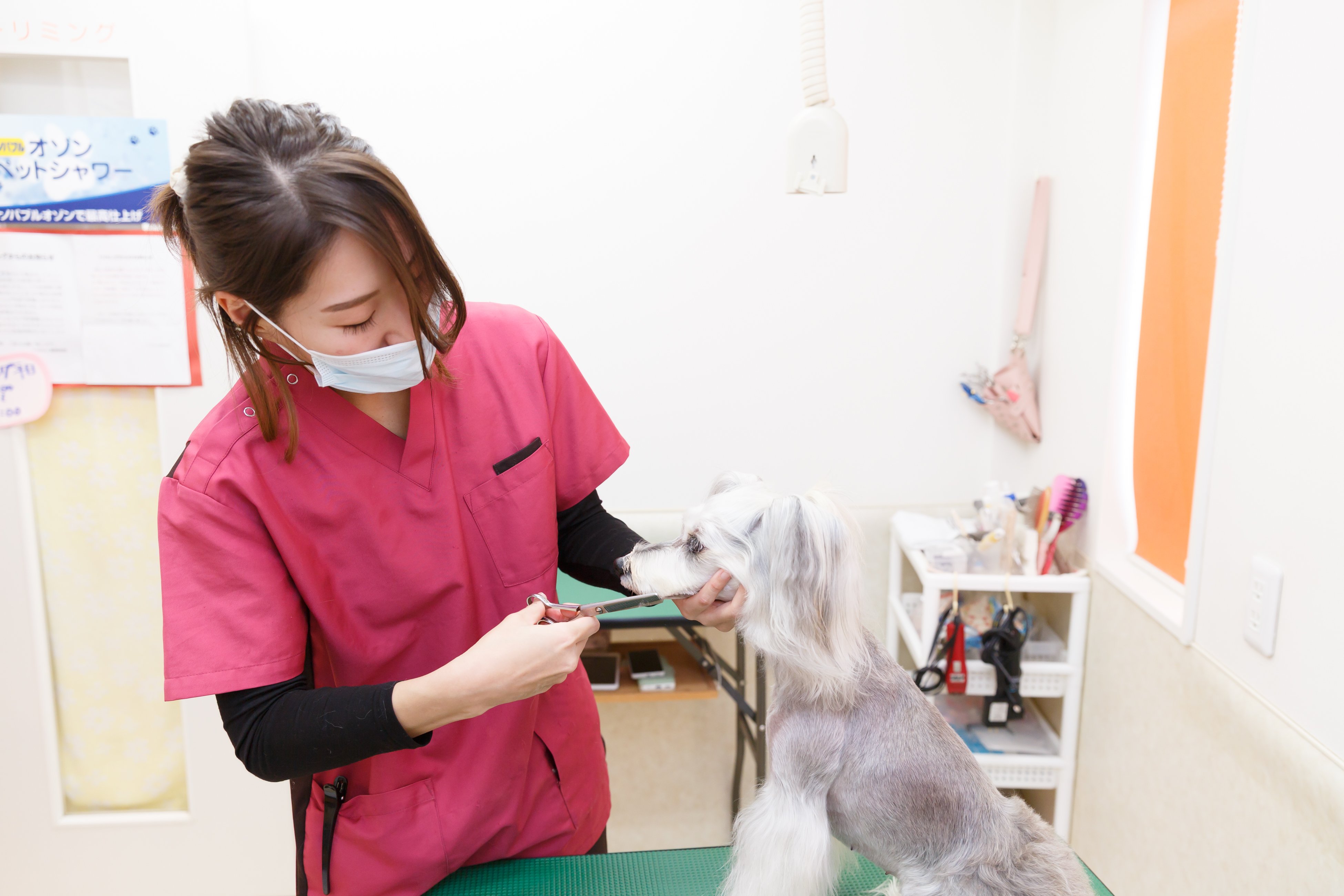 この仕事や研究の魅力・やりがいのイメージ