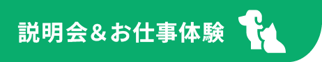 ペット・動物に関するお仕事についての説明 + 実際に体験