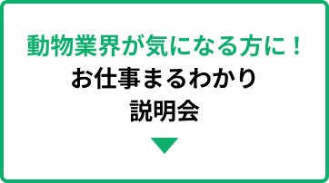動物業界が気になる方に！お仕事まるわかり説明会