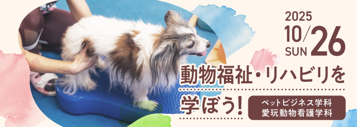 動物福祉・リハビリを学ぼう！