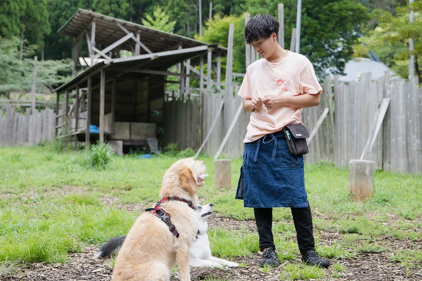 現在の仕事についてのイメージ