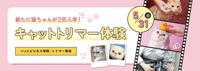 5/31 キャットトリマー体験