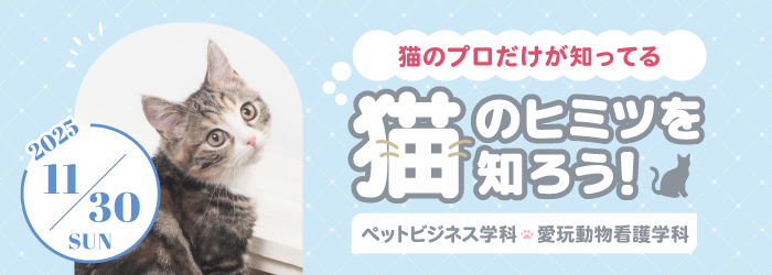 \猫のプロだけが知ってる/猫のヒミツを知ろう!
