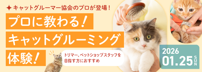 プロに教わる！キャットグルーミング体験！