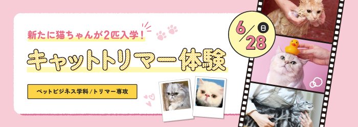 6/28 キャットトリマー体験