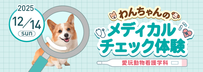わんちゃんのメディカルチェック体験