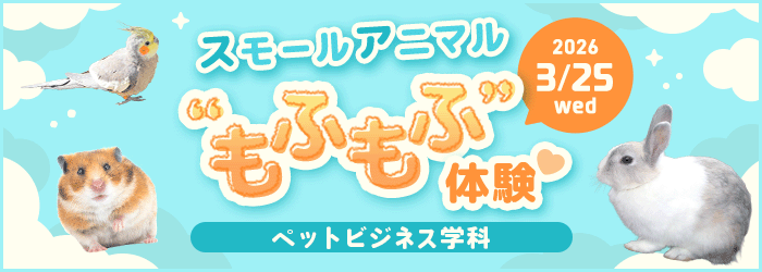 スモールアニマル“もふもふ体験”♡