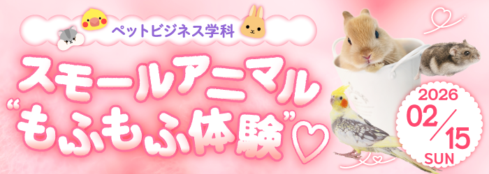 スモールアニマルもふもふ体験