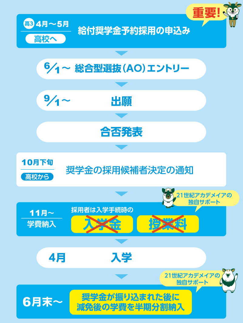plato-support02.png