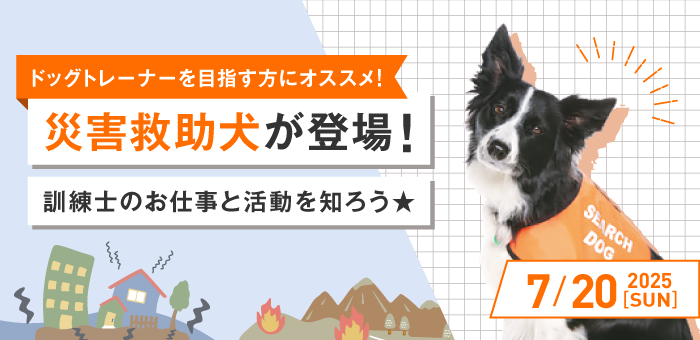 災害救助犬が登場！訓練士のお仕事と活動を知ろう★