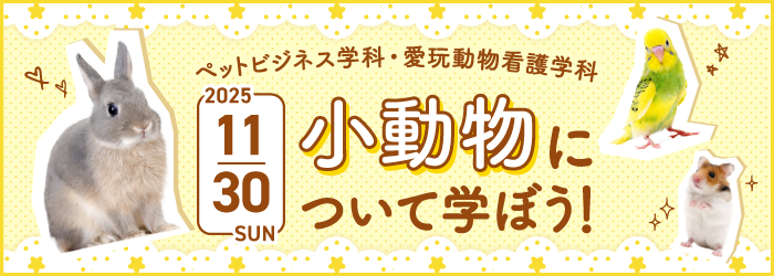 小動物について学ぼう!