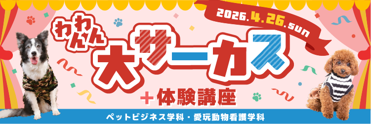 わんわん大サーカス＋体験講座